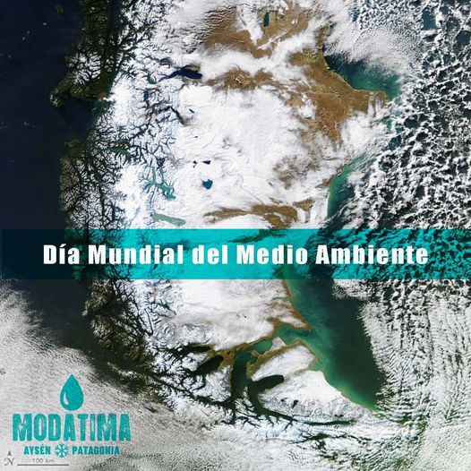 #DíaMundialDelMedioAmbiente