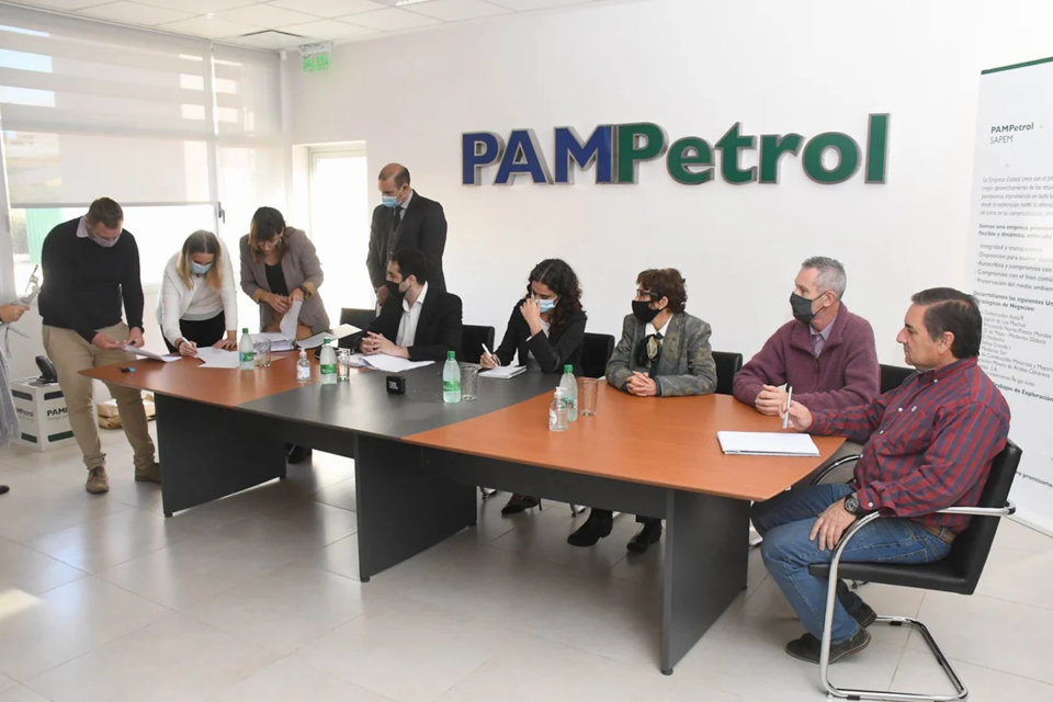 Una sola empresa se presentó con una oferta en la licitación del área “Medanito Sur”