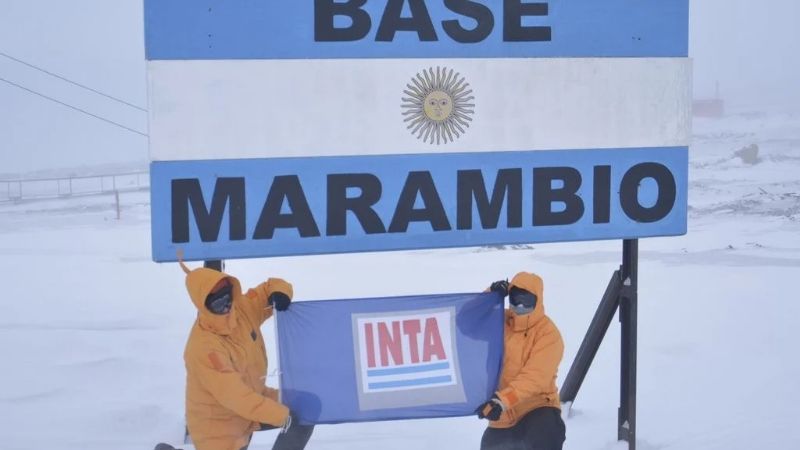 Argentina ya produce vegetales en la Antártida para abastecer Marambio