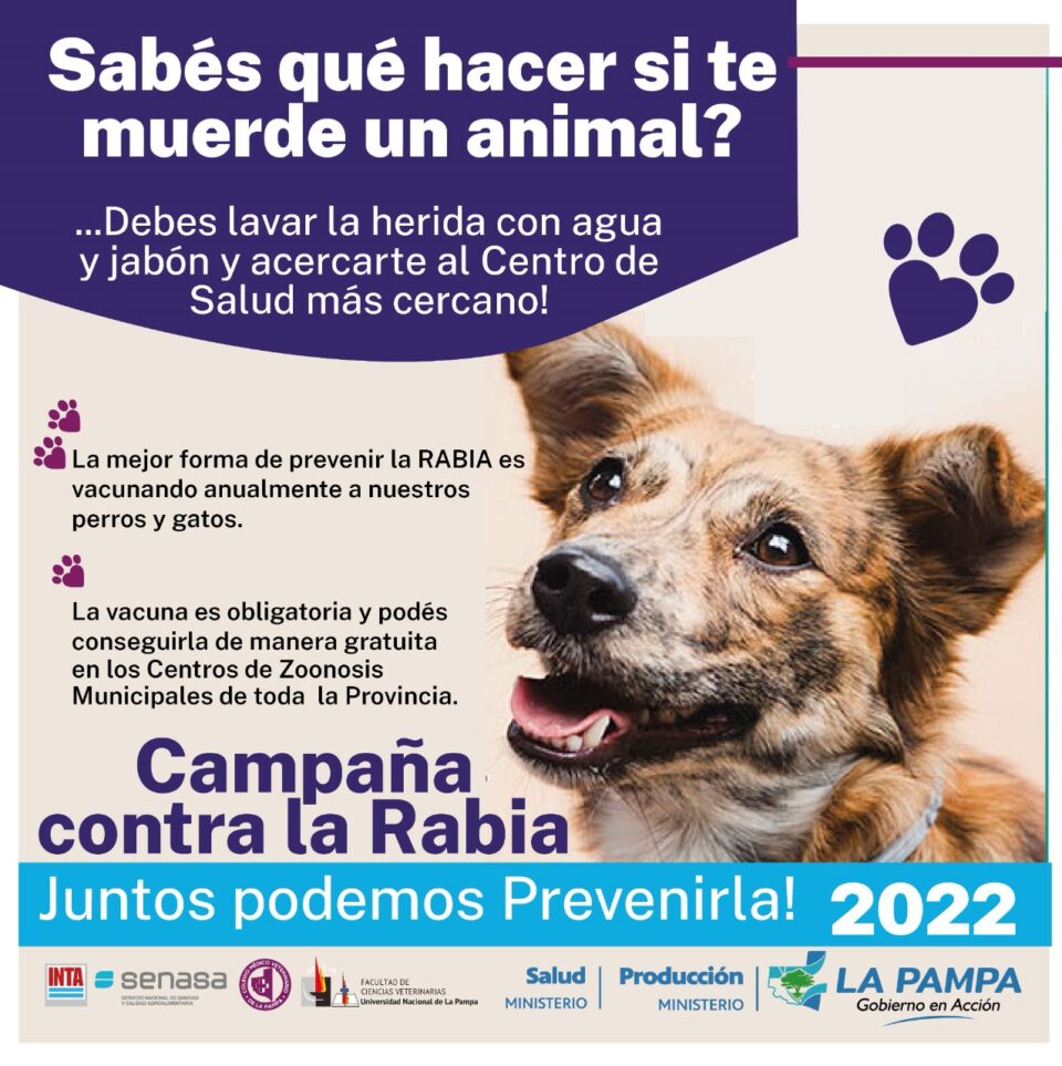 Día Mundial contra la Rabia