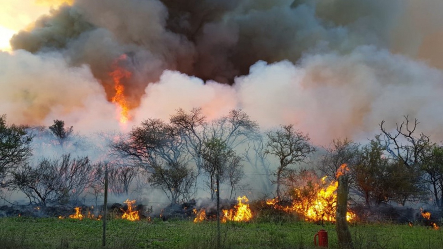 Finalizó la temporada de quema de bosque y monte