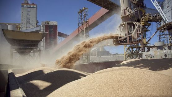 Cerealeras que operaron con «dólar soja» no podrán acceder al mercado de cambio