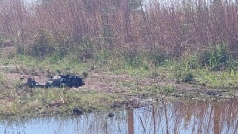 Esperan los resultados de la autopsia al hombre decapitado cerca de la Ruta 34