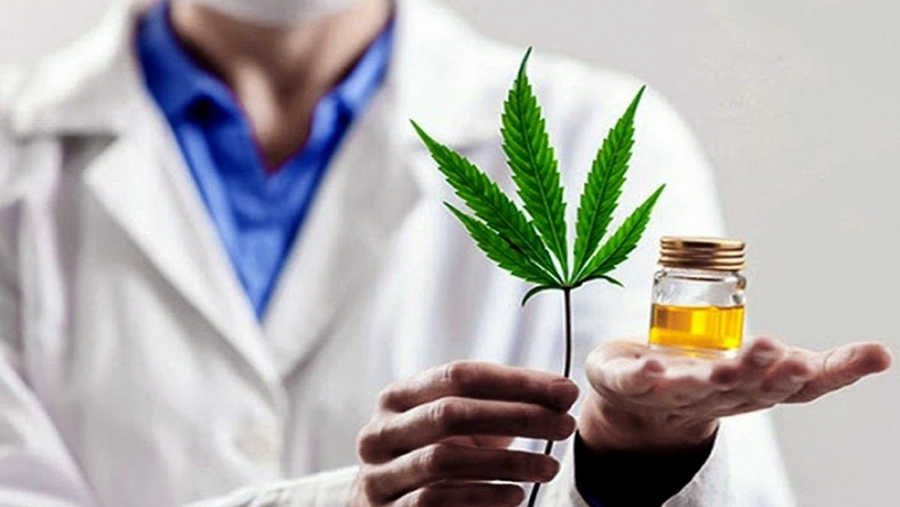 Realizarán una jornada abierta y gratuita sobre “Cannabis Medicinal y Cáñamo Industrial” en General Pico