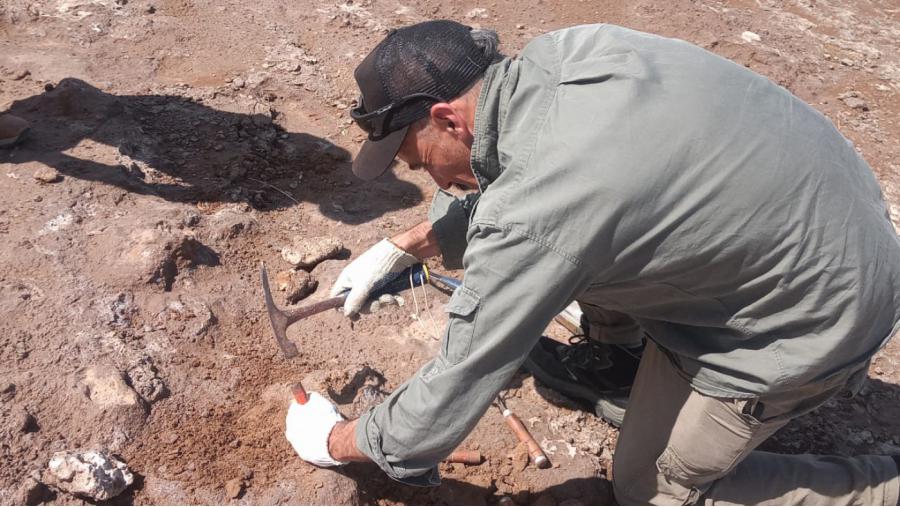 Rescate paleontológico en General Acha