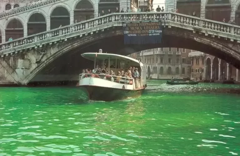 El Gran Canal de Venecia apareció teñido de verde