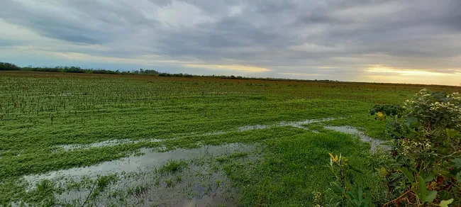 Pronostican un trimestre con lluvias