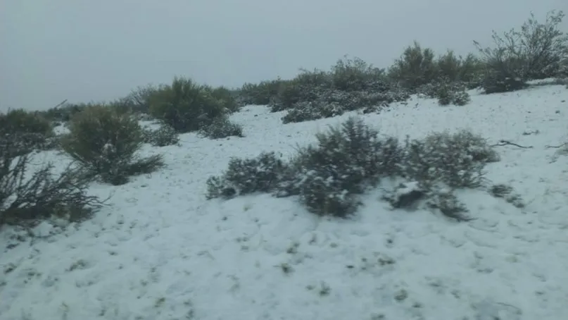 Cayó una intensa nevada en el oeste pampeano